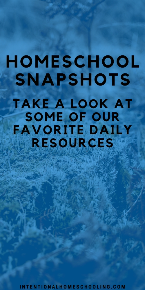 Homeschool Snapshots - A look into our favorite resources and daily homeschool life