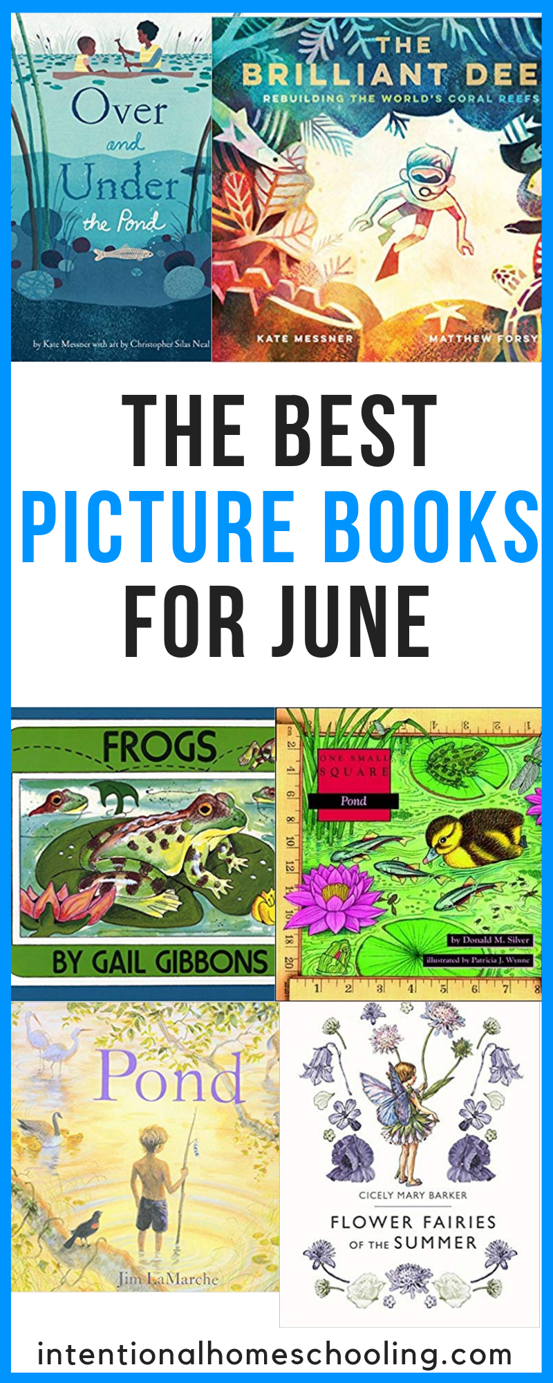 The Best Picture Books for June - summer picture books and water picture books