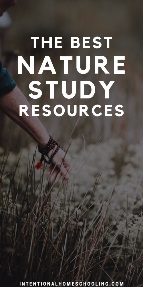 Homeschool Nature Study Resource: Keeping a Nature Journal - Review -  Homeschool Nature Study