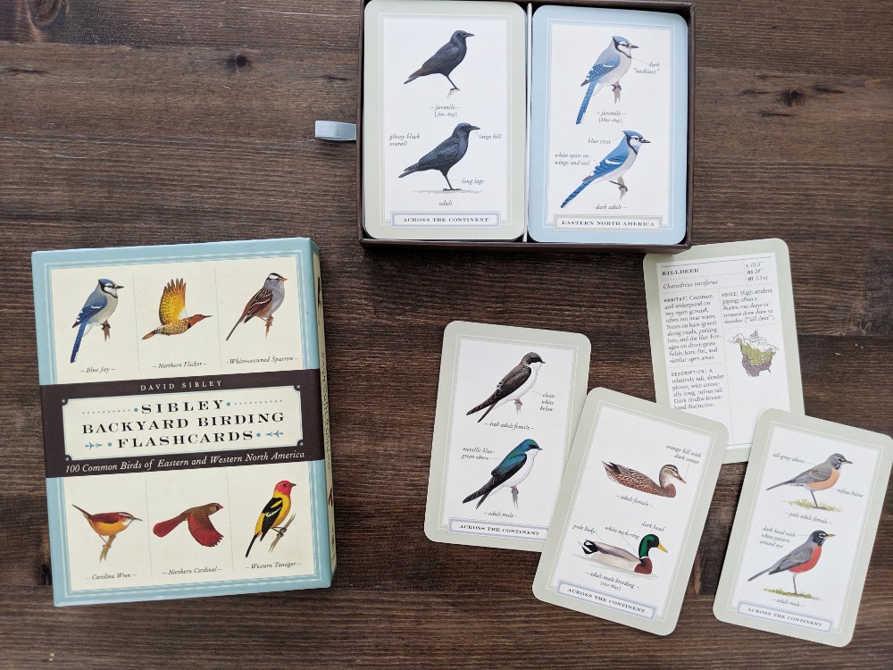 Great Nature Study Resources - Backyard Birding Flashcards