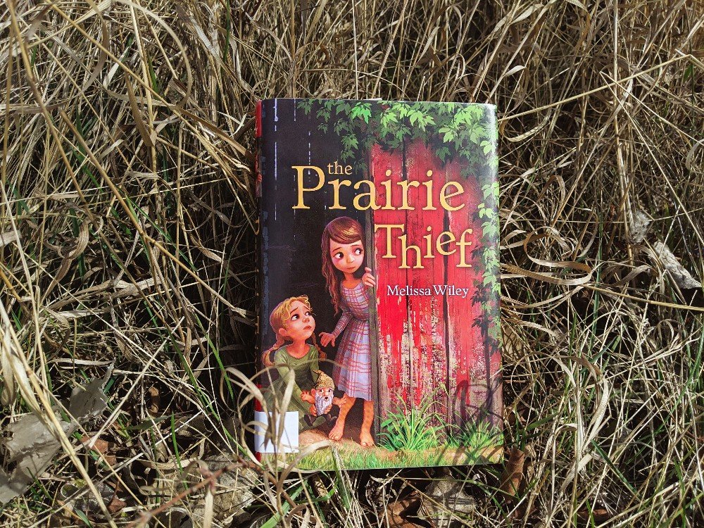 The Prairie Thief Book Review - fantasy for elementary and middle grade