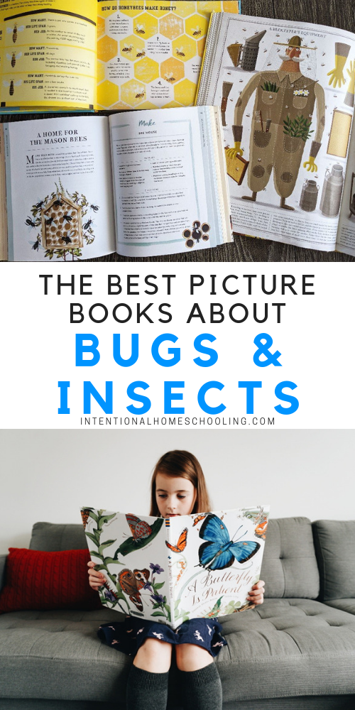 The best picture books and informative books about bugs and insects for kids