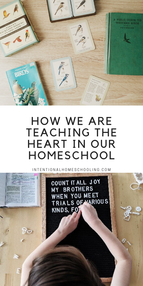 Our Summer Homeschooling - Heartschooling Ideal Rhythm