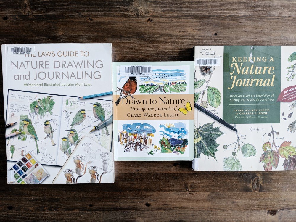 The Best Nature Study Resources - Nature Journaling books