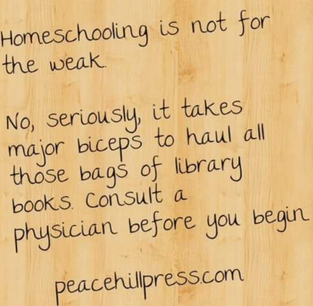 Hilarious Homeschool Memes