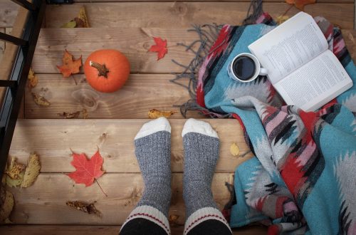 The Best Picture Books for Fall and September