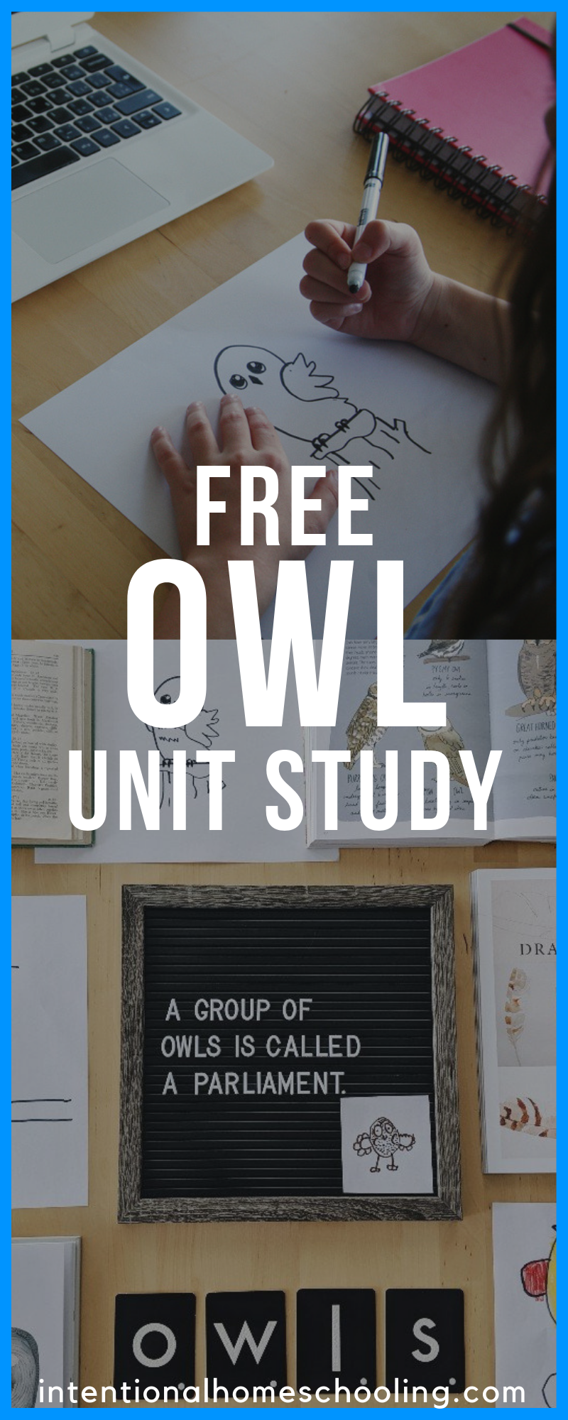 Free Owl Unit Study Resources