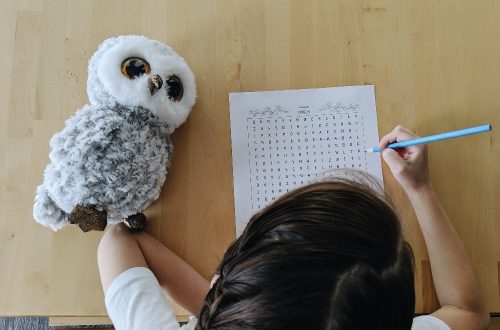 Free Owl Unit Study Resources