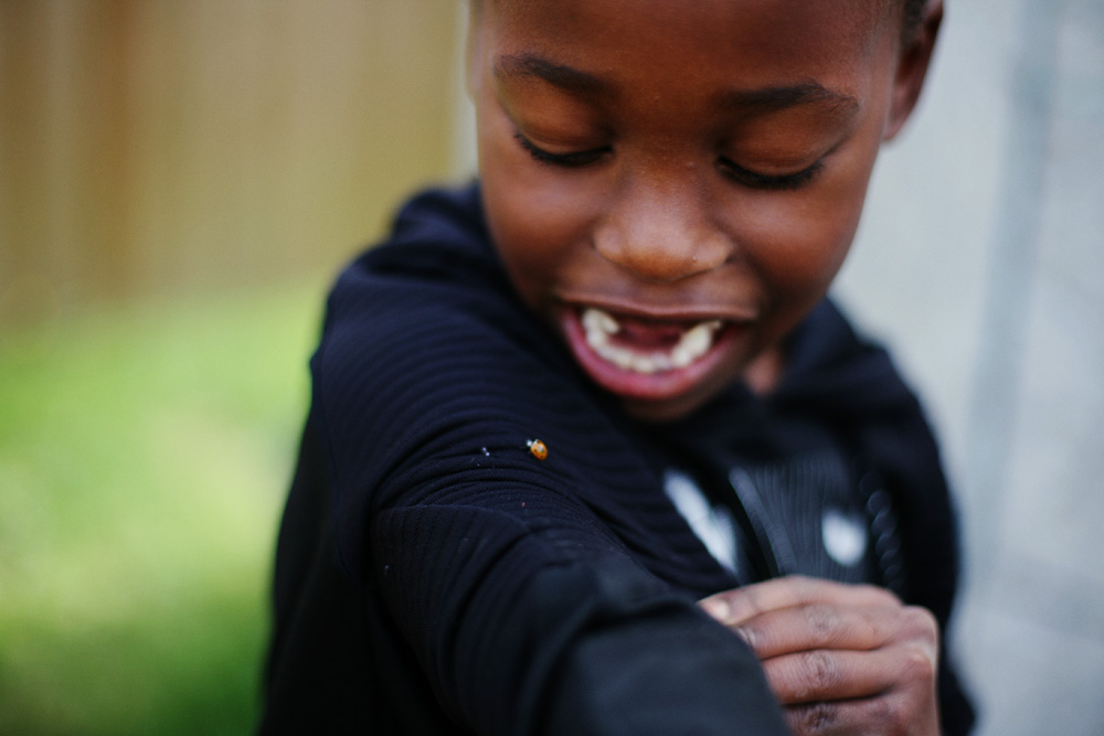 Fall Nature Study Ideas and a Free Printable Autumn Nature Scavenger Hunt