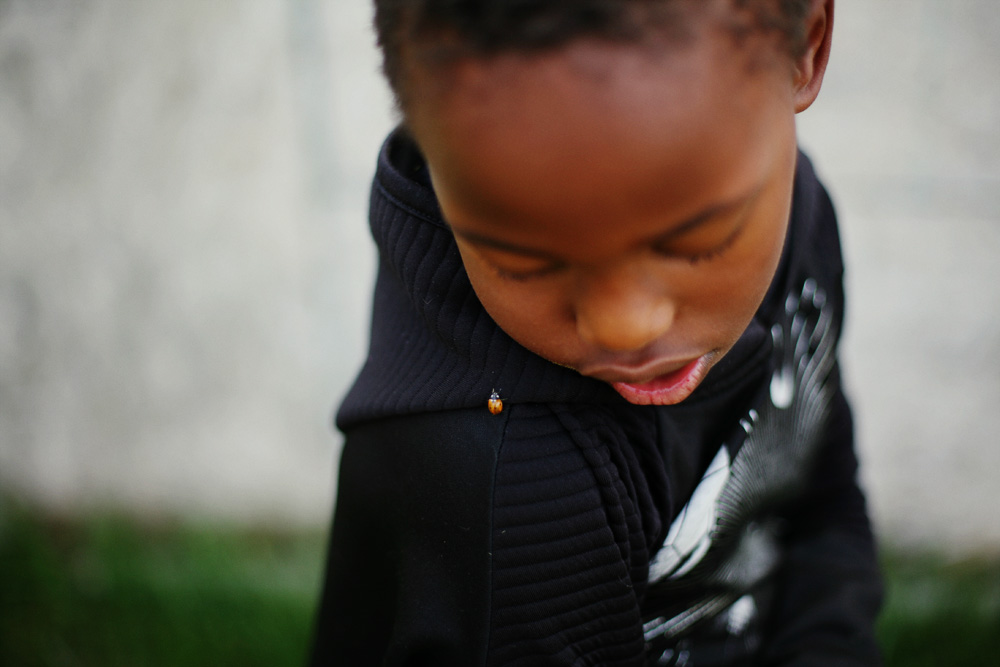 Fall Nature Study Ideas and a Free Printable Autumn Nature Scavenger Hunt