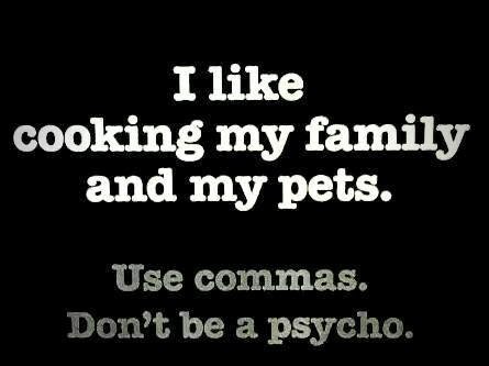Memes and Jokes to Teach Your Children Grammar in a Fun Way