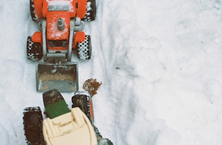 The Best Picture Books to Read in November - picture books about snow, hibernation and the arctic