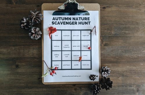 Fall Nature Study Ideas and a Free Printable Autumn Nature Scavenger Hunt