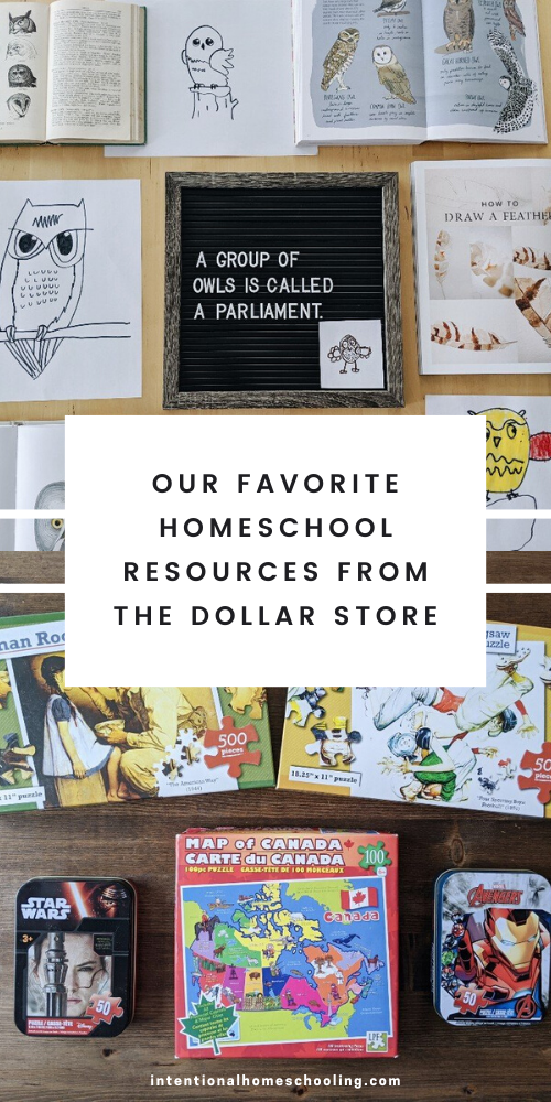 Dollar Store Homeschool Resources Haul