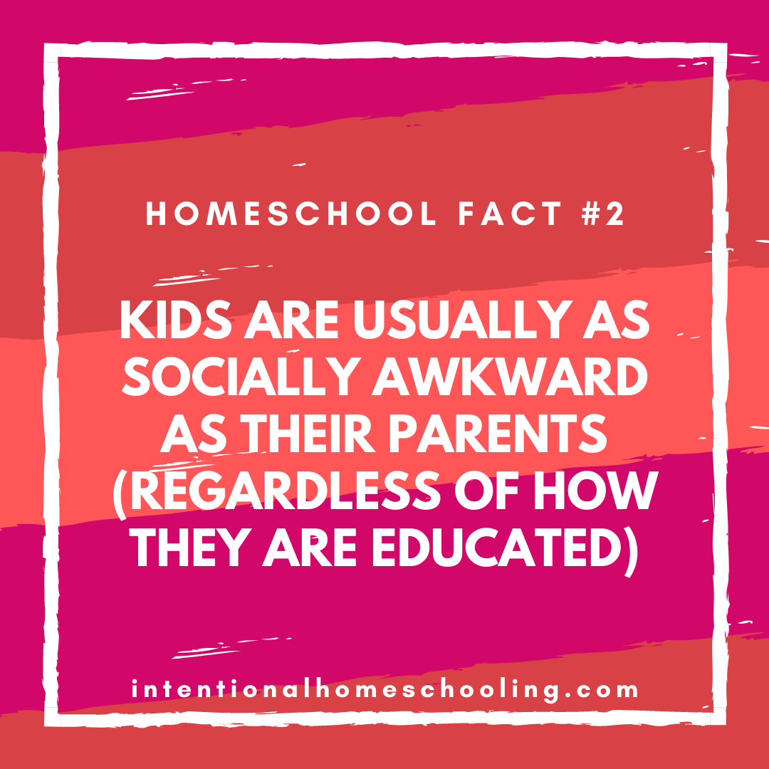 Homeschool Myth: Homeschoolers are Socially Awkward - tackling the issue of homeschooling and socialization