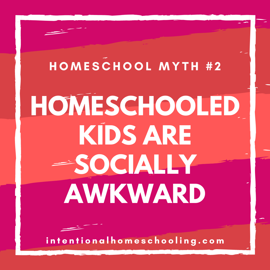 Homeschool Myth: Homeschoolers are Socially Awkward - tackling the issue of homeschooling and socialization