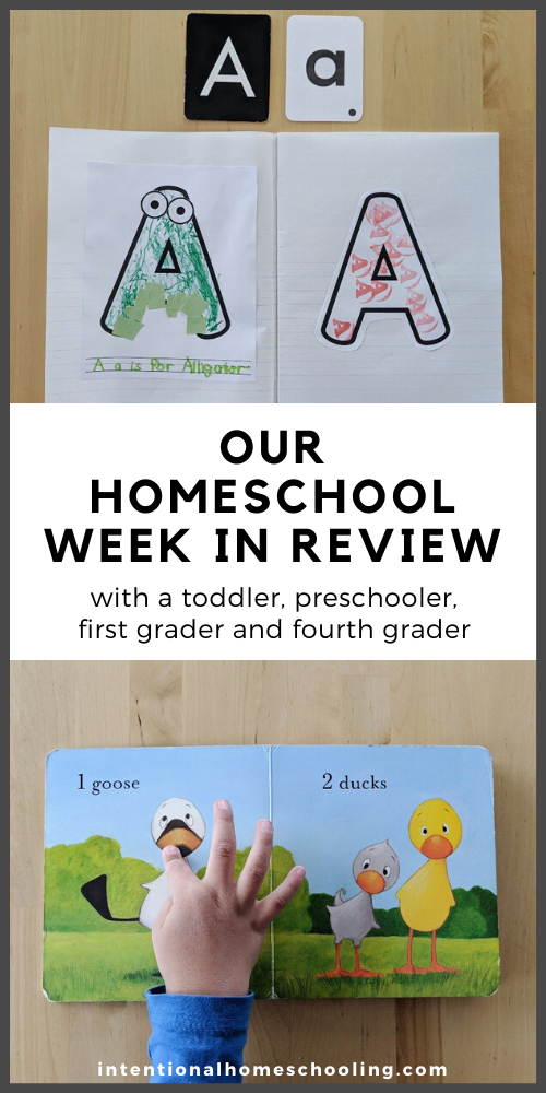 Our Homeschool Week in Review - what we did and resources we used with a toddler, preschooler, first grader and fourth grader