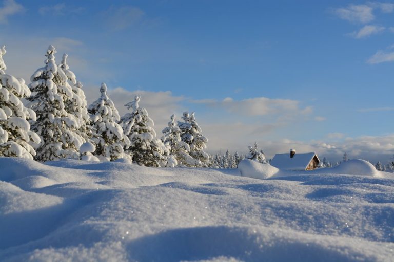 Ideas to Help You Homeschool in the Winter When It's Too Cold to Go Outside and You Hit the Winter Slump