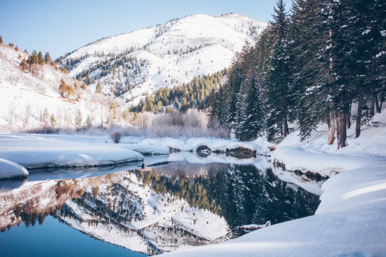 Middle Grade Winter Books - great novels to read in the winter for middle grades 5-8