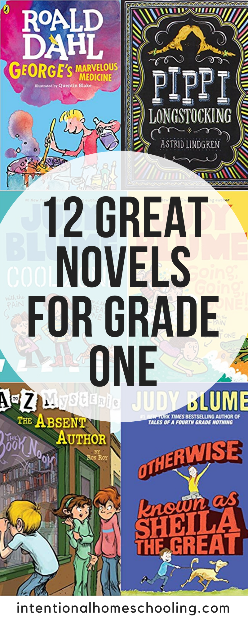 12 Great Novels for Grade One - great for read alouds or read alones