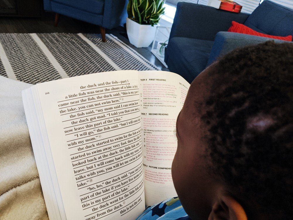 Teach Your Child to Read in 100 Easy Lessons - Homeschool Week in Review