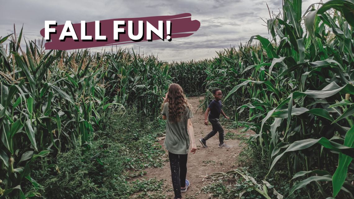 Fall Family Bucket List: lots of fun family activities to do together as a family in the autumn