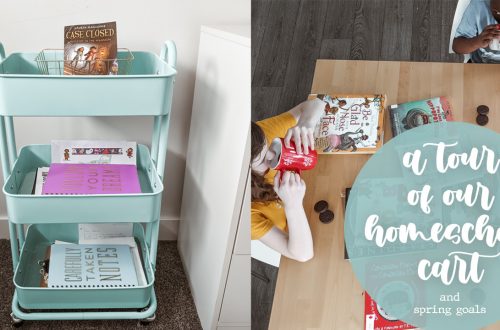 A Tour of Our Homeschool Cart and Our Spring Homeschool Goals