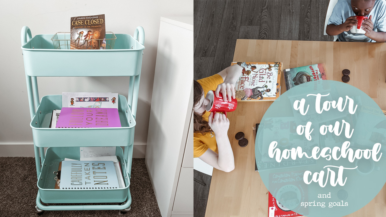 A Tour of Our Homeschool Cart and Our Spring Homeschool Goals