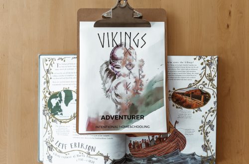 Free Vikings Unit Study - a great unit for your elementary homeschool