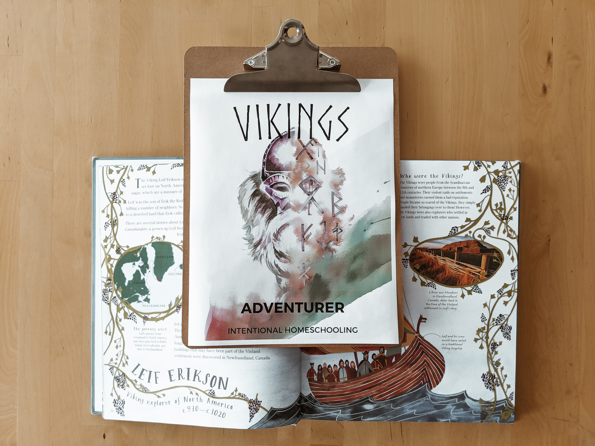 Free Vikings Unit Study - a great unit for your elementary homeschool