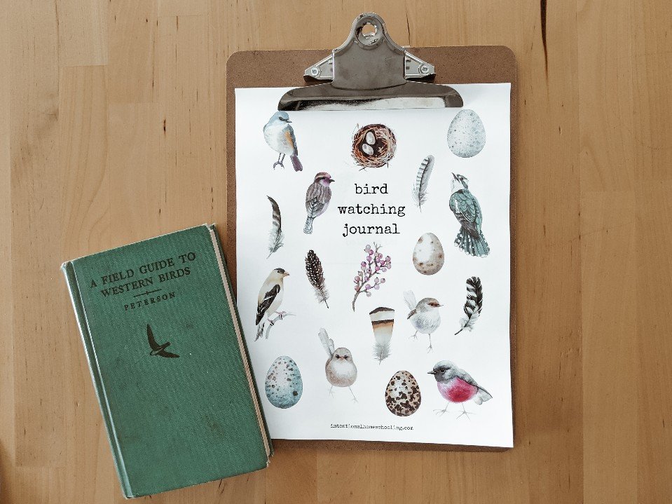 Bird Watching Journal - a printable nature study journal