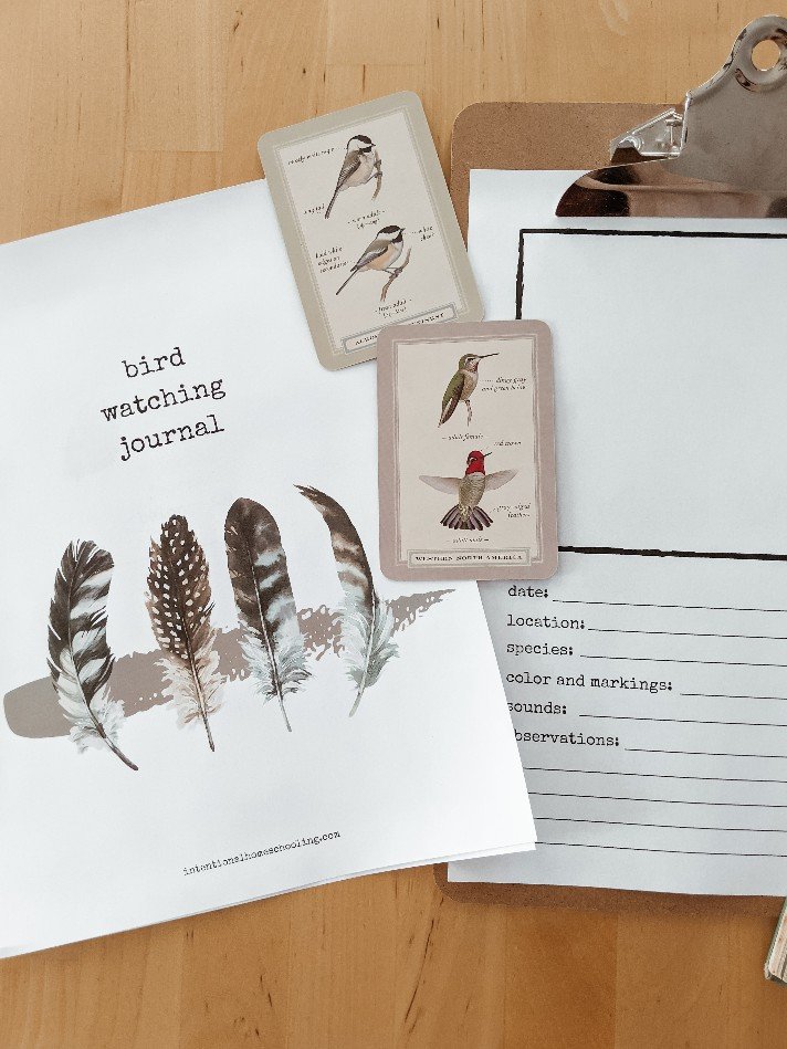 Bird Watching Journal - a printable nature study journal