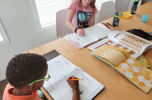 Butterflies & Bees Research Unit - Homeschool Unit Study - Homeschool Day in the Life