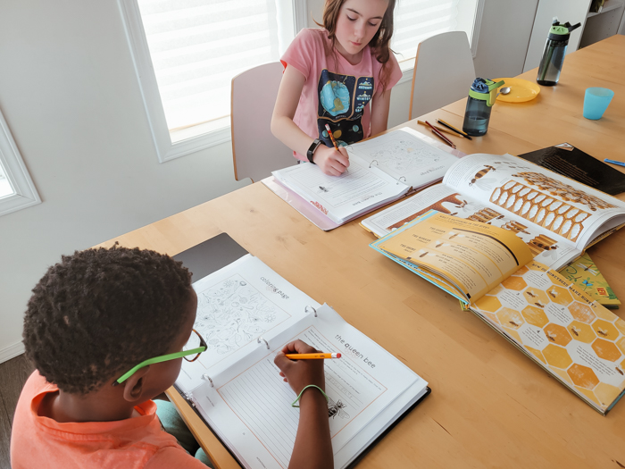 Butterflies & Bees Research Unit - Homeschool Unit Study - Homeschool Day in the Life