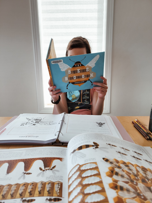 Butterflies & Bees Research Unit - Homeschool Unit Study - Homeschool Day in the Life