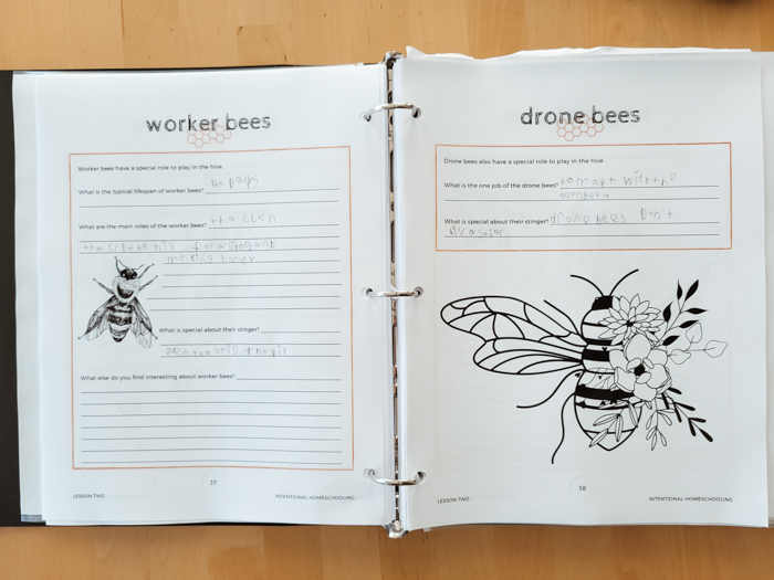 Butterflies & Bees Research Unit - Homeschool Unit Study - Homeschool Day in the Life