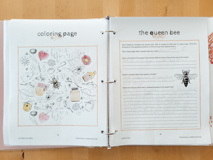 Butterflies & Bees Research Unit - Homeschool Unit Study - Homeschool Day in the Life