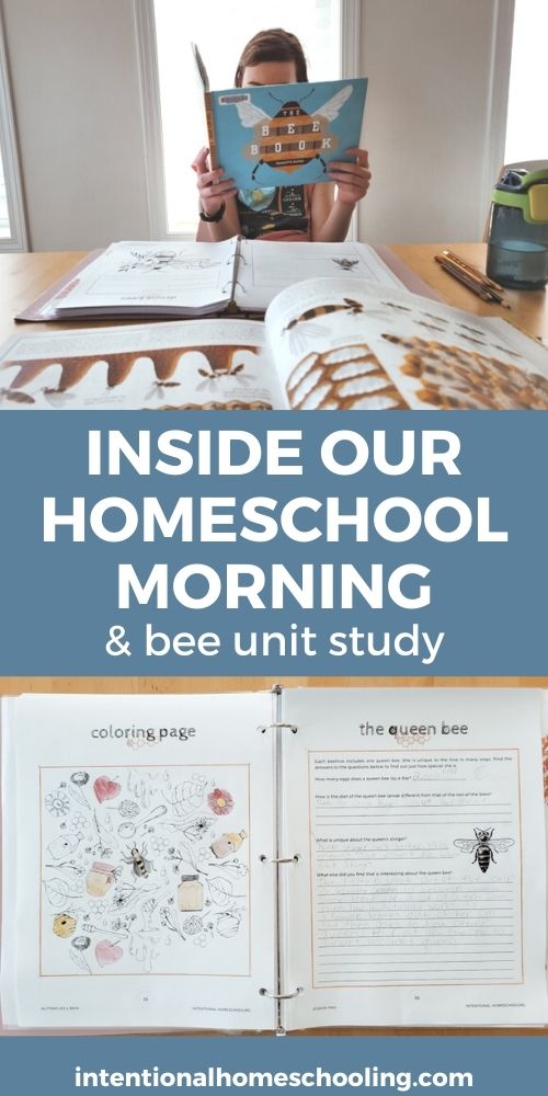 Butterflies & Bees Research Unit - Homeschool Unit Study - Homeschool Day in the Life