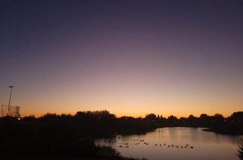 September Favorites: Morning Walks