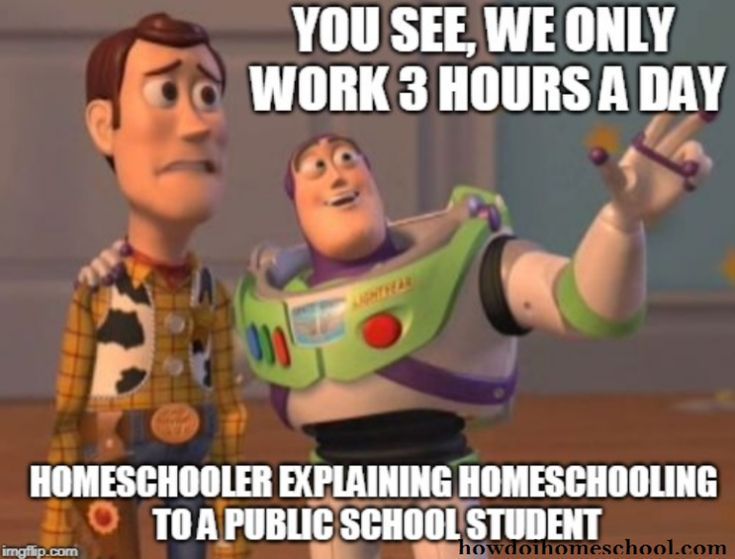 homeschool MEMES that will bring a smile to your face