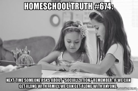 The best homeschool memes - funny, serious and sarcastic homeschool memes