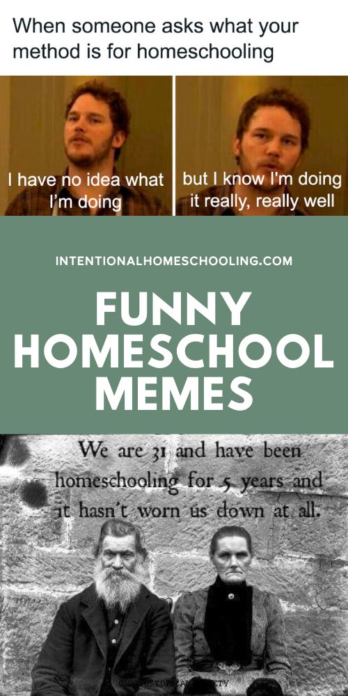 The best homeschool memes - funny, serious and sarcastic homeschool memes