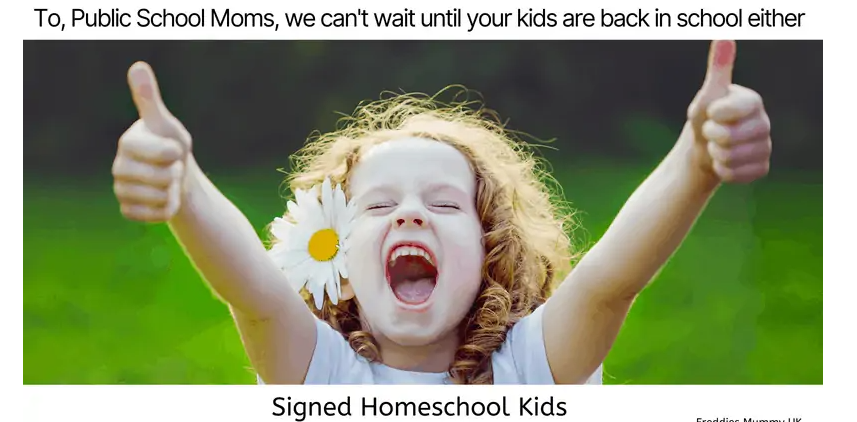 The best homeschool memes - funny, serious and sarcastic homeschool memes