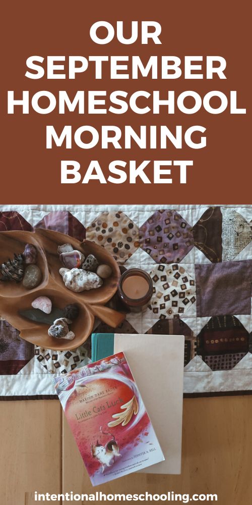 our SEPTEMBER HOMESCHOOL MORNING BASKET - all the games and books we are including