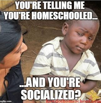 The best homeschool memes - funny, serious and sarcastic homeschool memes