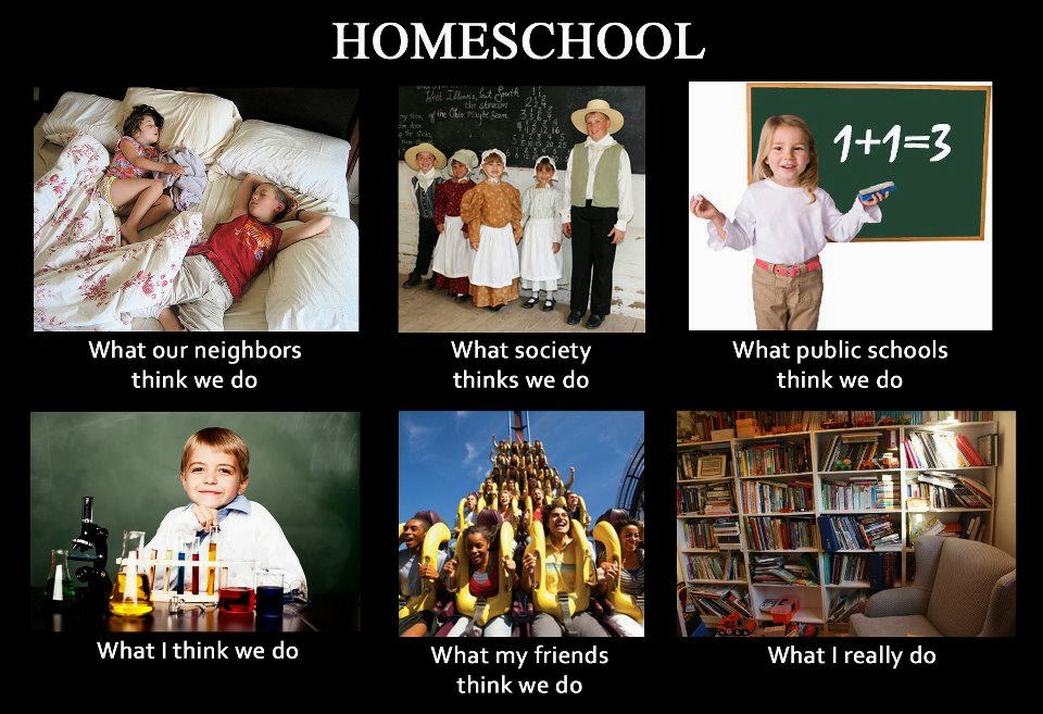 The best homeschool memes - funny, serious and sarcastic homeschool memes