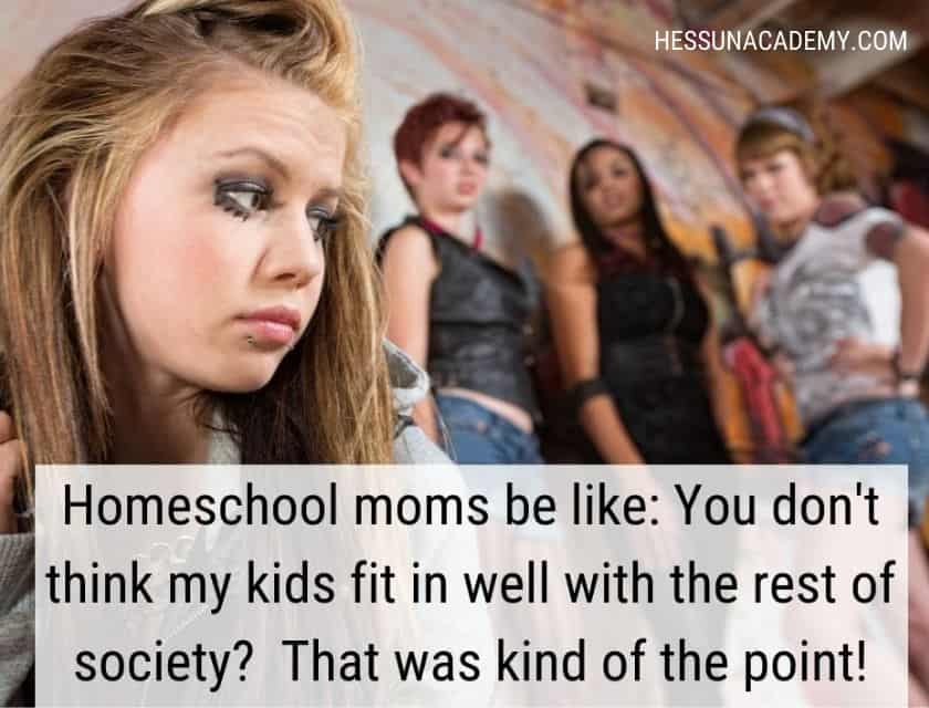 The best homeschool memes - funny, serious and sarcastic homeschool memes