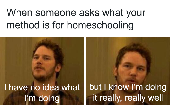 The best homeschool memes - funny, serious and sarcastic homeschool memes