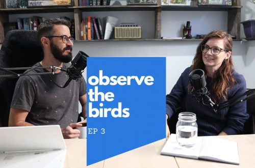 observe the birds - Poured Out Podcast (EP 3)