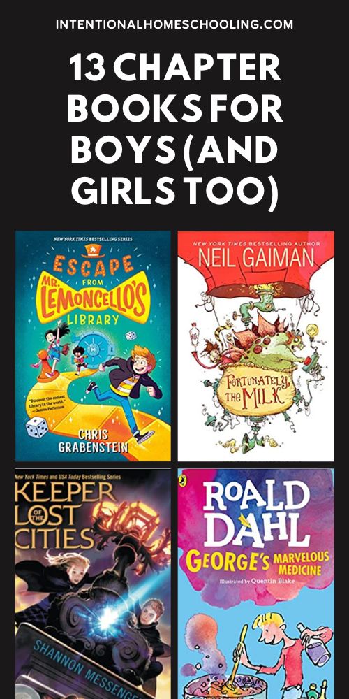 Great Chapter Book Recommendations for Boys (and Girls too!)